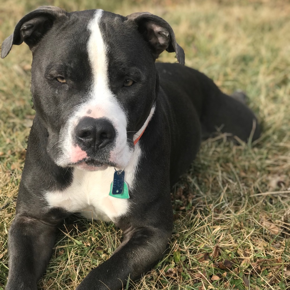 Meet your Posher, Lindsay